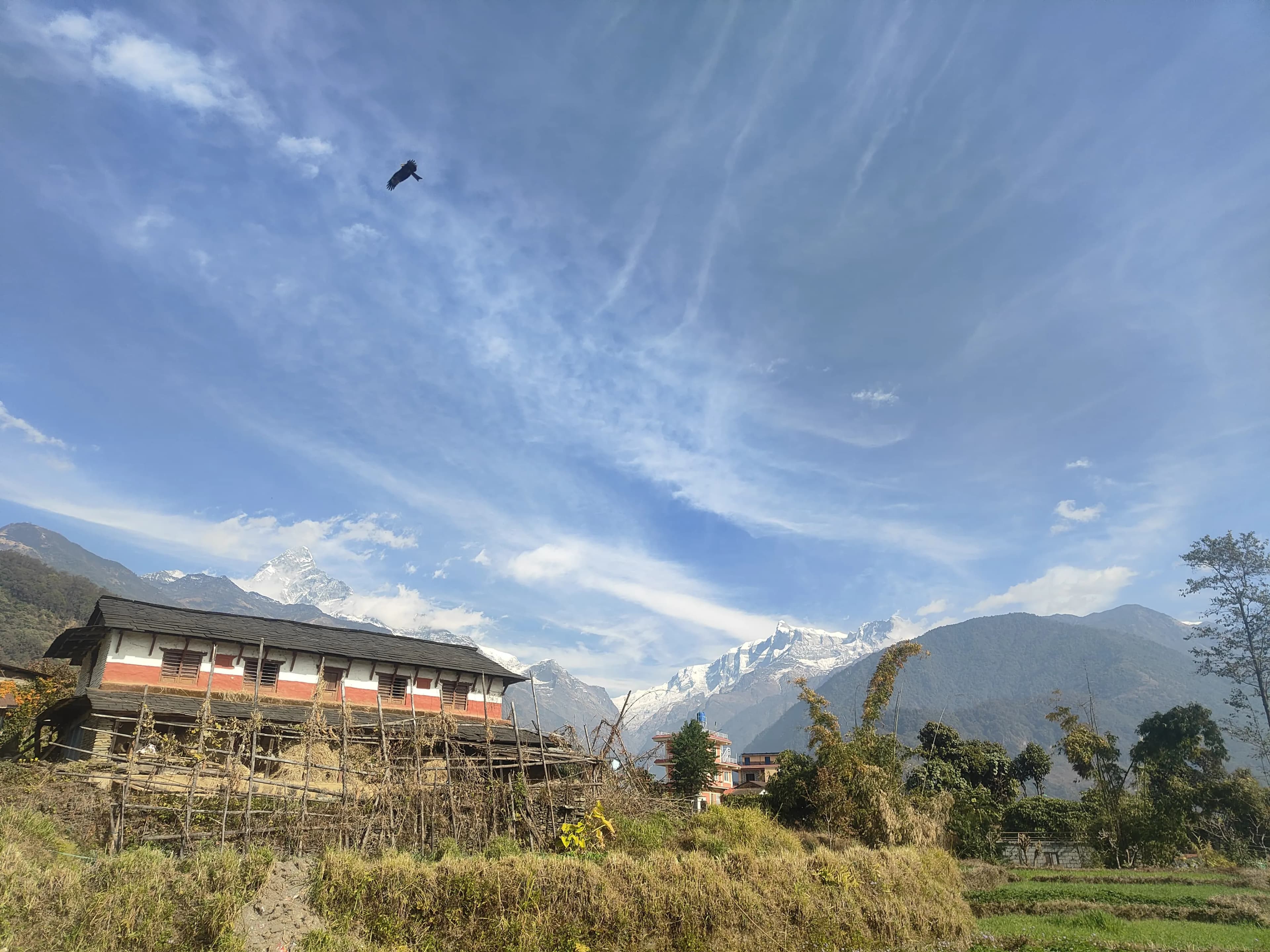 Mountain Yoga Retreat